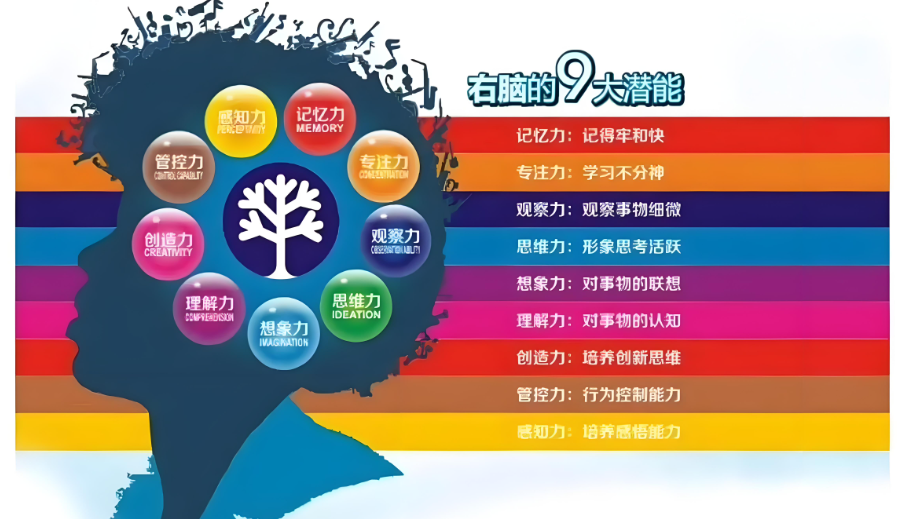 儿童大脑潜能开发训练
