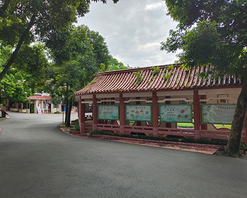 重庆力推的青少年叛逆不听话军事化特训学校精选名单榜首一览