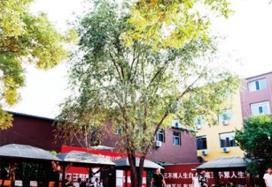 排名历数呼和浩特市学习氛围浓厚的高三寒假集训冲刺班