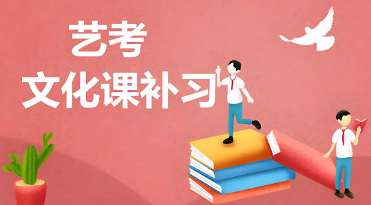 国内长春艺考文化课教育学校首选