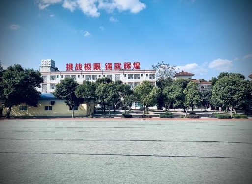 重庆2025孩子叛逆健康成长学校名单一览-从叛逆到转变