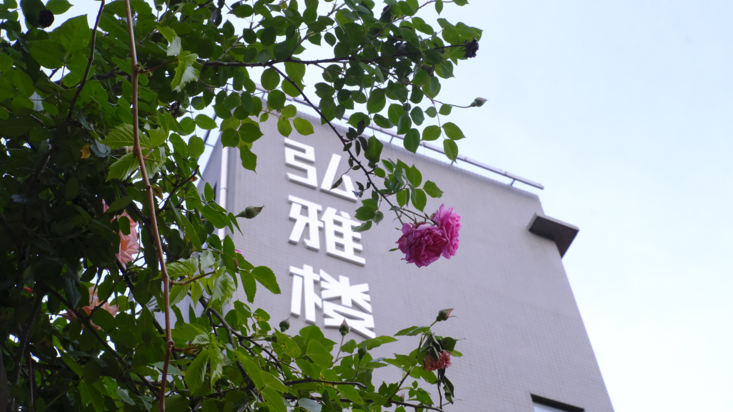 2025西安单招文化课辅导教育学校名单汇总一览表1