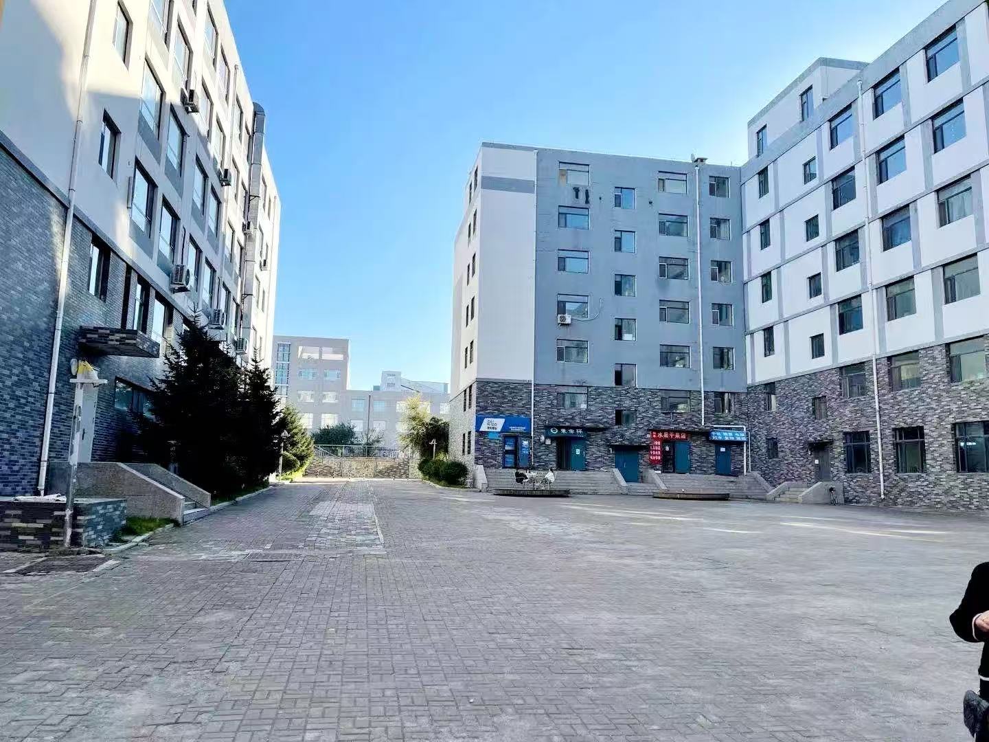 郑州高三复读全科补习教育学校排名十大排行榜汇集