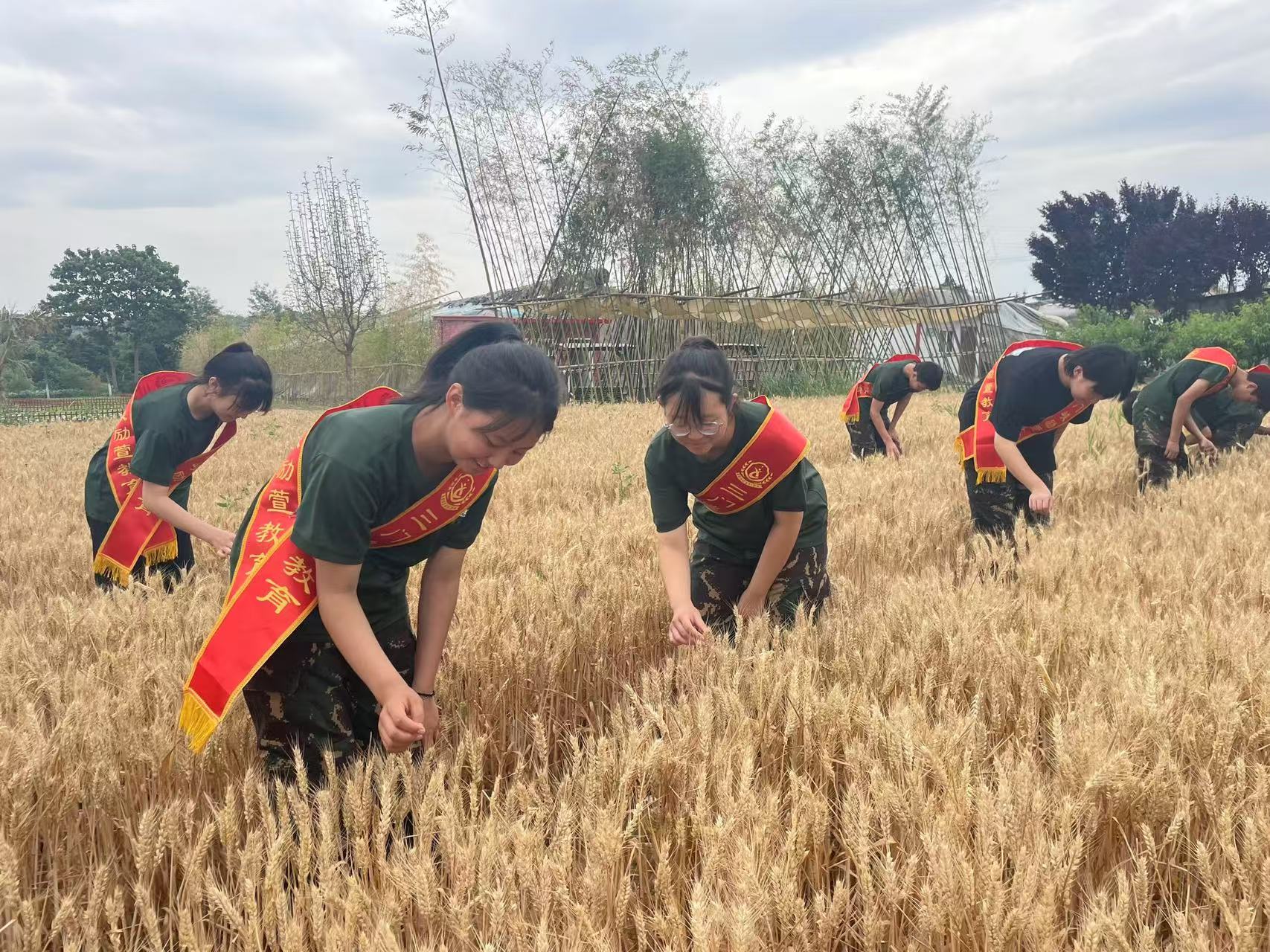 力荐三门峡叛逆孩子行为矫正学校排名前十名一览