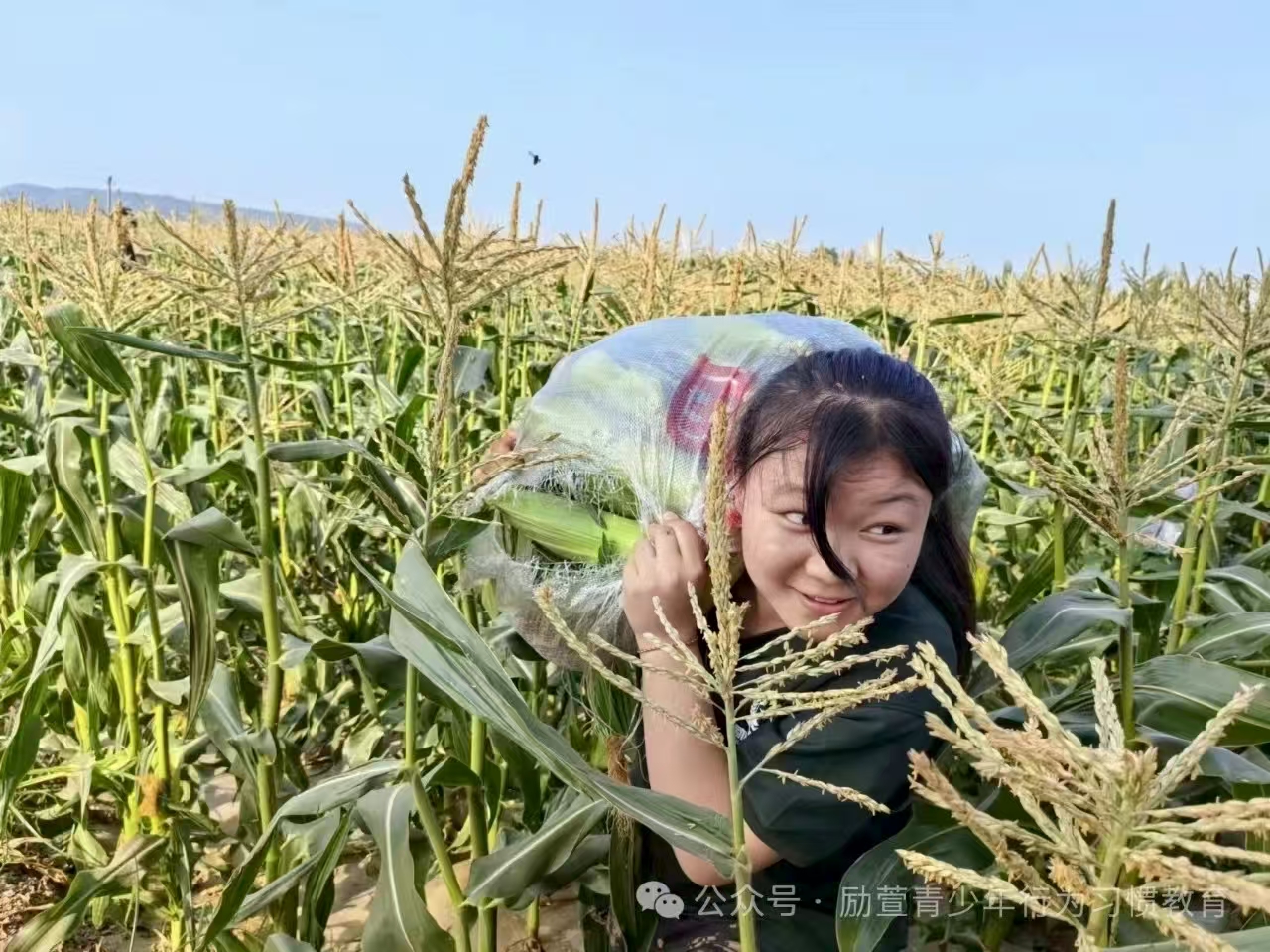 河南专注青少年叛逆十分出名的教育机构名单榜首公布-三门峡校区1