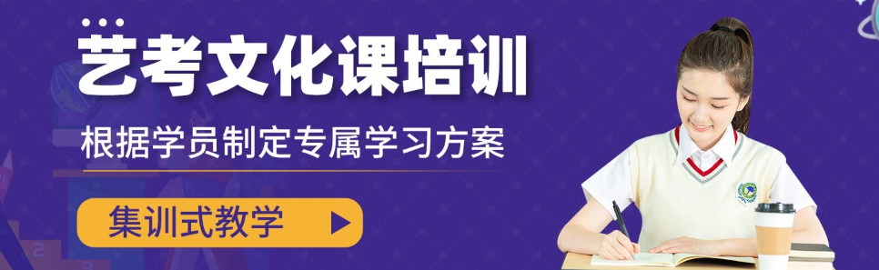 艺考生文化课辅导.png