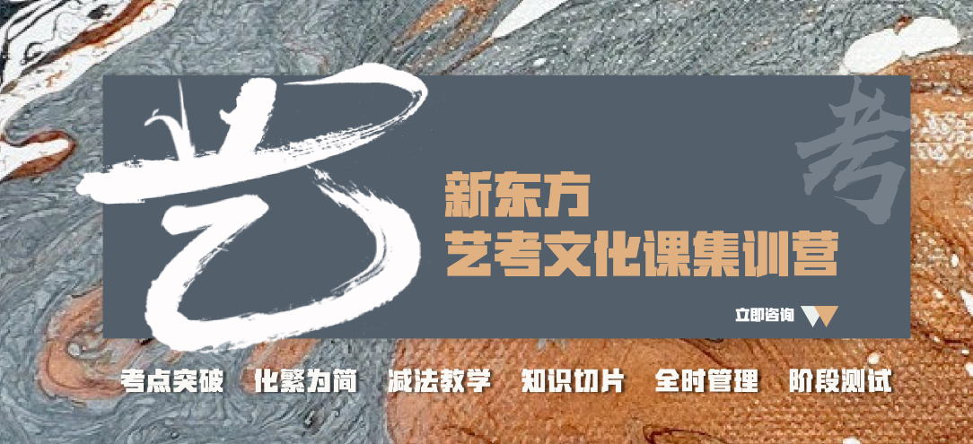 版面 艺考文化课集训营.png