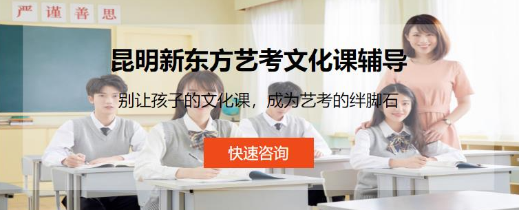 艺考文化课辅导云南.png