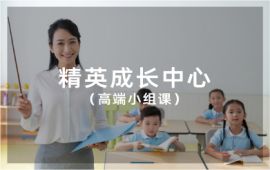 优质推荐！上海杨浦区具有针对性的小学高端素养小组课6-8人班辅导机构【昂立智立方】